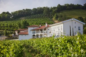 Premium-Weingut und eleganter Rückzugsort in Goriška Brda in einem: das Peterc Vineyard Estate