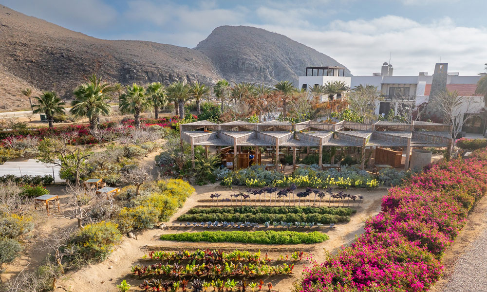 Blick in den Garten des Restaurants Cosecha im Hotel San Cristóbal