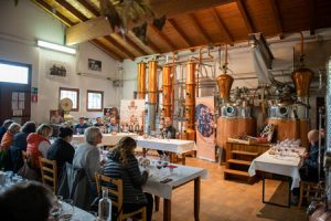 Die Gäste bei der Weinprobe