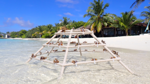 © Sheraton Maldives Full Moon Resort & Spa