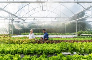 © Le Meridien Maldives Resort & Spa