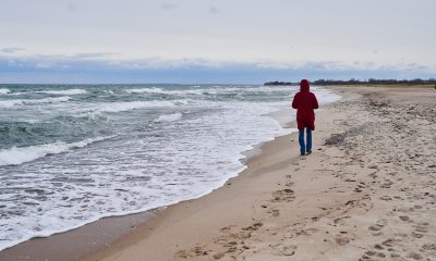 © Ostseefjord Schlei GmbH