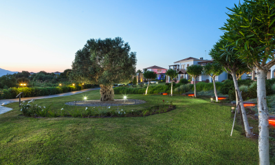 Baum im Neptune Luxury Resort