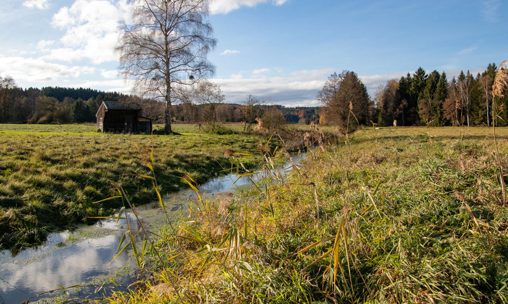 Blick auf das Brucker Moor
