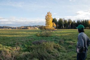 Blick auf das Brucker Moor