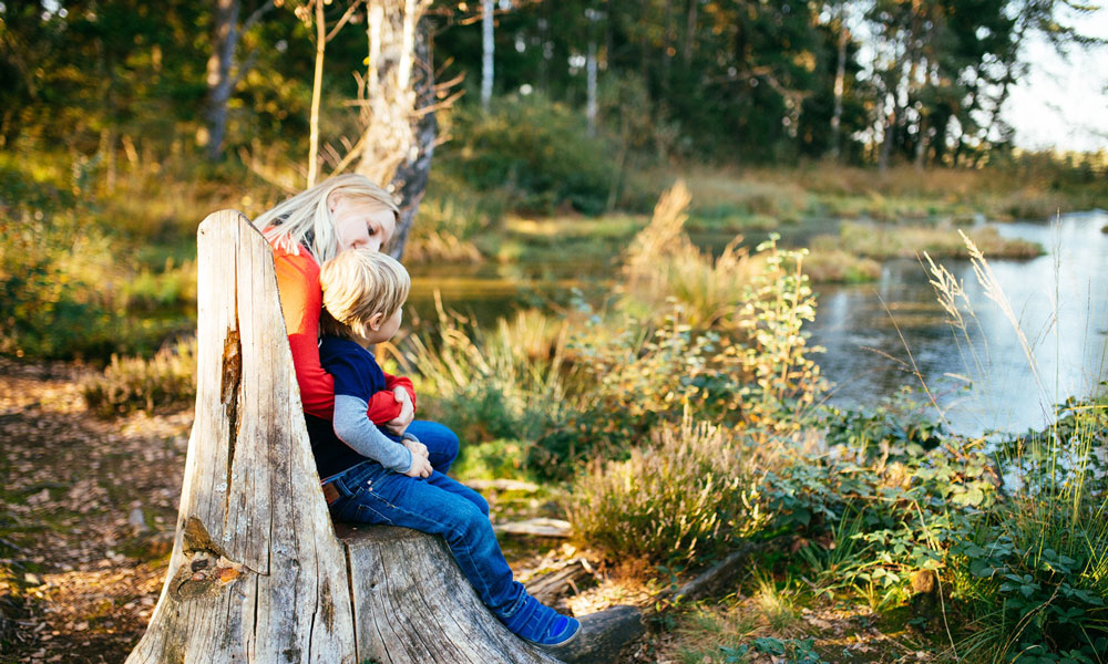 In den Sterntaler Filzen gibt es Rastplätze und liebevoll gestaltete Erlebnisstationen für Groß und Klein