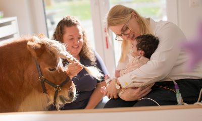 tiergeschützte Therapie im Haus Atemzeit @peryton.film