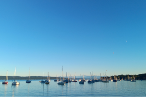 Blick bis zu den Alpen © Klump