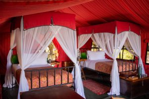 Im gemütlichen Himmelbett schläft es sich wunderbar in unmittelbarer Nähe zur umgebenden Natur