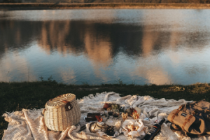 Picknick am Prinzensee © NEST X NOMAD