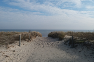 Insel Rügen ©M.Klump