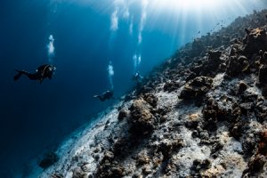 Rund 30 weitere Tauchplätze bietet das Lhaviyani-Atoll