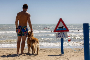 Ausbau der BiDog Beaches für entspannte Urlaubsmomente mit den Vierbeinern © BiHoliday