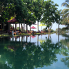 Underneath the Mango Tree ©Hollmann - UTMT