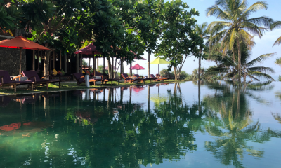 Underneath the Mango Tree ©Hollmann - UTMT