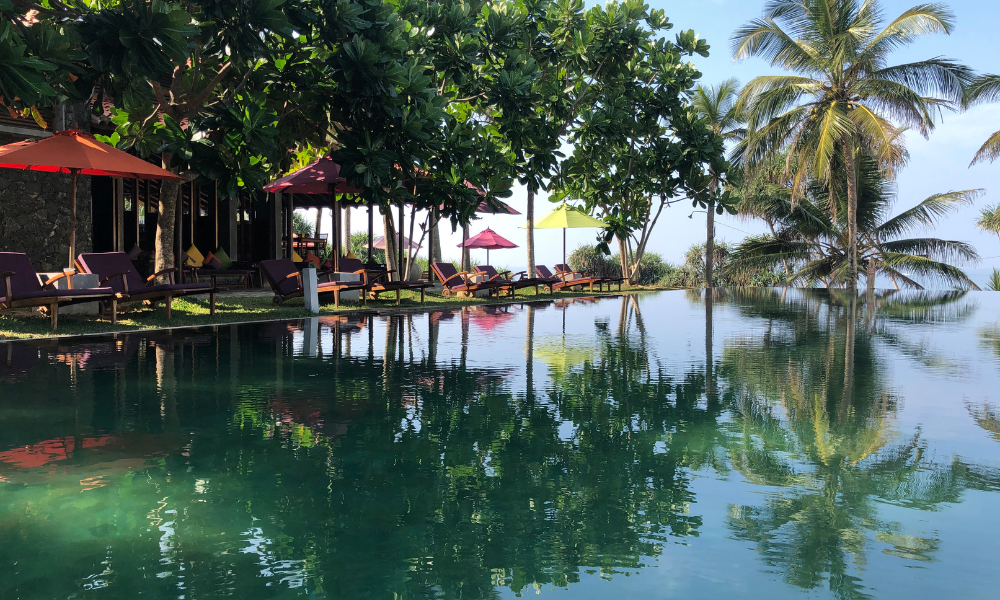 Underneath the Mango Tree ©Hollmann - UTMT