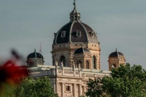 Wien ©Canva