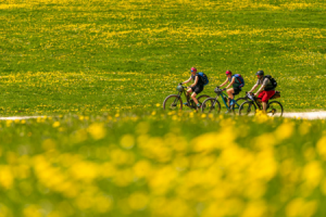 Radtour ©almbahn.at