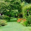Garten ©Canva