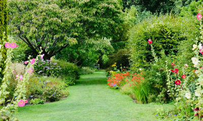 Garten ©Canva