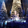 Glitzerkulisse im Stil des Weihnachtsballs aus Harry Potter und der Feuerkelch. © & ™ Warner Bros. Entertainment Inc. Publishing Rights © JKR