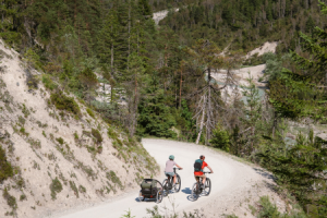 Biketour mit Kinderanhänger in der Region Seefeld © Region Seefeld