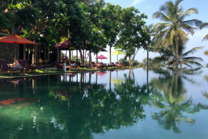 Underneath the Mango Tree ©Hollmann - UTMT