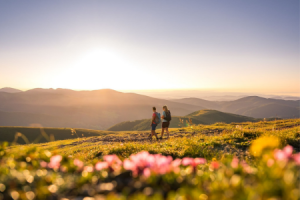Nockberge im Sommer ©Michael Stabentheiner Kaernten