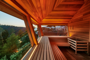 Hochsitzsauna – Innenansicht ©Hotel Kronelamm, Roman Knie