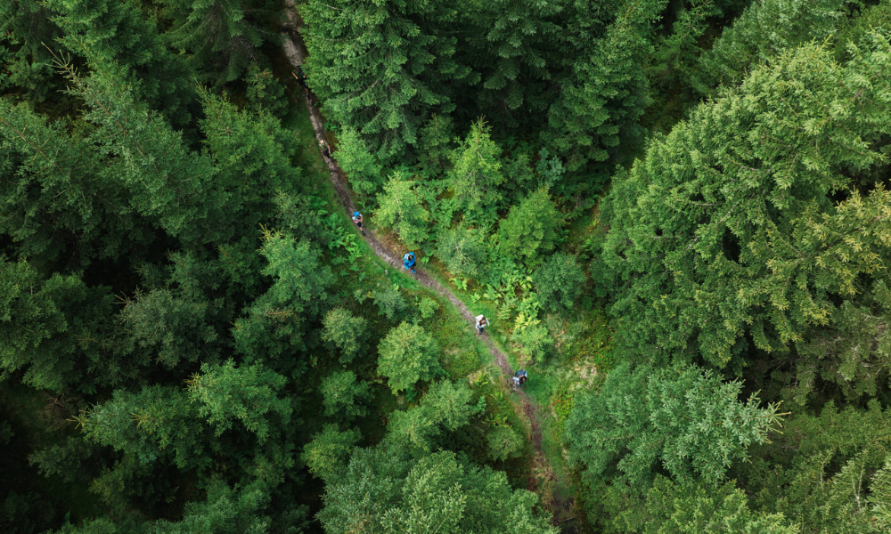 Angertal Waldbaden ©KTVB Bad Hofgastein, Christoph Oberschneider