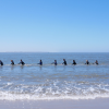 Aquawalking_Nordsee.png