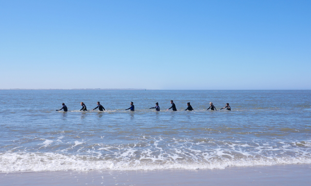 Aquawalking_Nordsee.png
