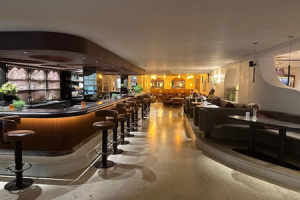 Bar_und_Loungebereich.png