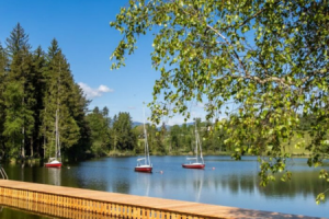 Maltschacher_See_mit_Booten.png
