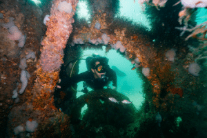 Diving_Panama_City_Beach.png