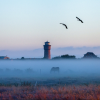 Leuchtturm_im_Nebel.png