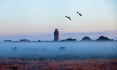 Leuchtturm_im_Nebel.png