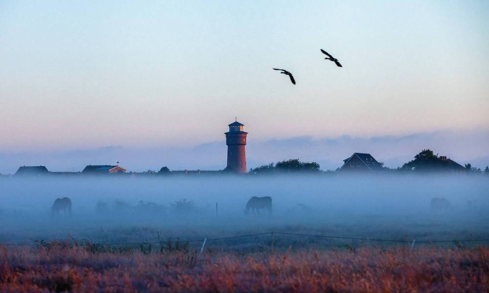 Leuchtturm_im_Nebel.png