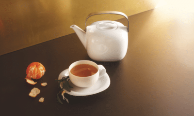 Rosenthal_Suomi_Teapot_17000-800001-14235_HPR.png