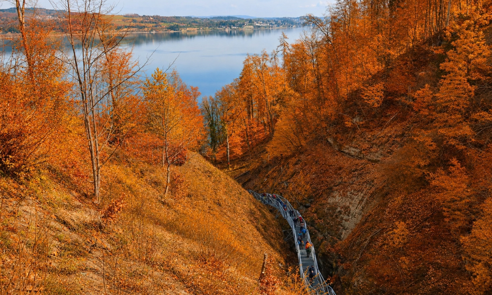 Bodman_Ludwigshafen_Marienschlucht_Panoramasteg_Besucher.png