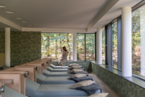 Ruheraum_Naturresort_und_Spa_Schindelbruch.png