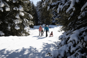 Serfaus_Fiss_Ladis_Winterwandern_Königsleitheweg.png